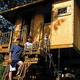 Epic Treehouse Comes With Electricity, Cable and a Fire Horn Intruder Alarm